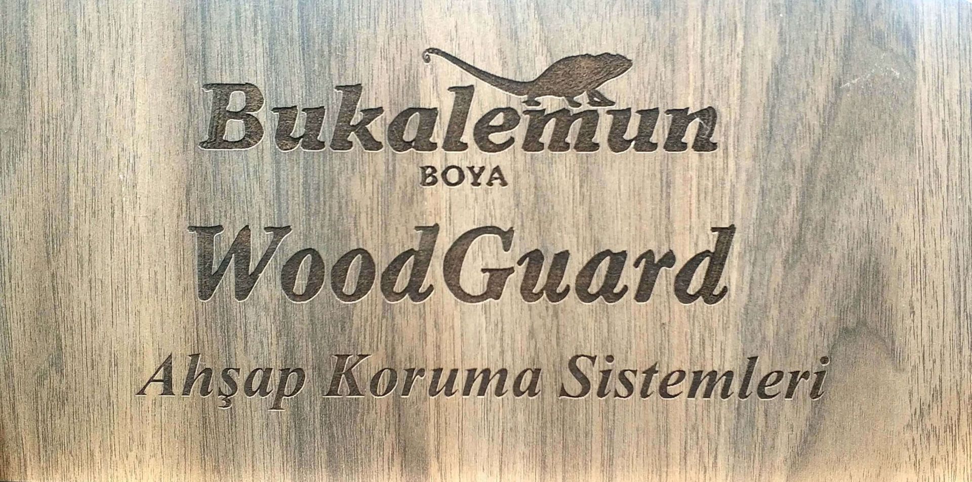 Ahşap Renk Kartelası